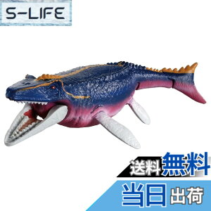���i�摜