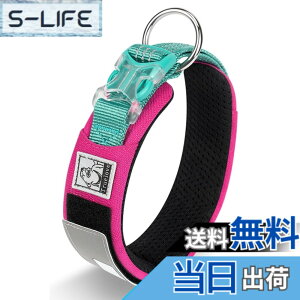 �y���������zcocomall���{�����X 2023�ŐV����� ���̎�� ���^�A���^�A��^���p �y�b�g�p�i 3M���ˍޗ� �i�C������ �ʋC�� �e�͐� �\�t�g ���߉\ ������� ���p�P��(XS, �u���[���s���N)
