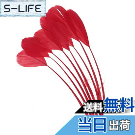 【送料無料】PATIKIL 15-20cm ガチョウの毛 50個入り バルク天然羽毛 工芸 カーニバル 手作り 衣装 ウエディング パーティー スタイル4 レッド