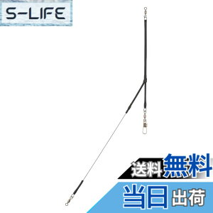 �y���������z�_�C��(DAIWA) �V�� ���[�f�B���O�A�[��3 1.2mm-45cm