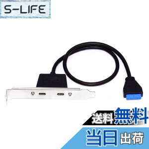 �y���������zxiwai �f���A���|�[�g USB 3.0 USB-C Type-C ���X - 20 �s���w�b�_�[���� 5Gbps �f�[�^�`�� PCI-E �o�b�N�p�l���P�[�u�� �R���s���[�^�[�}�U�[�{�[�h�p 50cm