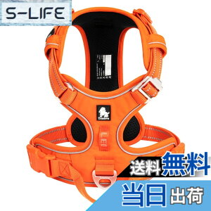�y���������zcocomall 2023�ŐV ���p�n�[�l�X ���p���� �h�b�O �y�b�g�p�i 3M���ˍޗ� �P�� �i�C������ ���^���A���^���A��^���Ɍ��� �ʋC�� ���߉\ (L, �I�����W)