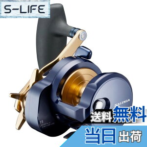 �y���������z�_�C��(DAIWA) �W�M���O�p�x�C�g���[�� 22SALTIGA 15