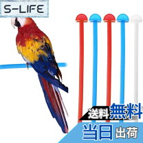 楽天市場】鳥かご（止まり木｜鳥用品）：ペット・ペットグッズの通販
