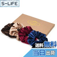 【送料無料】Lolalet ベルベットシュシュ ヘアゴム 無地ヘアロープ　4個セット おしゃれ 女性 髪留め ヘ…