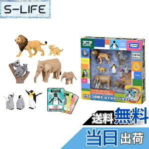 ���i�摜