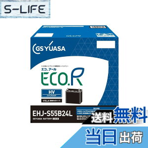 �y���������zGS���A�T (�W�[�G�X���A�T) EHJ S55B24L ECO.R HV �g���^�n�n�C�u���b�g��p�Ԑ�p ��@�p�o�b�e���[ GS YUASA 2024�N���f��
