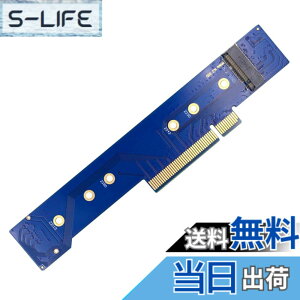 �y���������zNFHK ���[�v���t�@�C�� �f���A�� 2X NVME M.2 SSD - PCIE Express Gen4 X8 X16 RAID �J�[�h VROC Raid0 �n�C�p�[�A�_�v�^�[�B