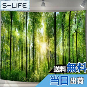 �y���������zU-SITU �^�y�X�g���[ �Ǌ|�� �Ǐ��� �X ���� �ъ� ���R�i�F �I�V���� �w�i ���@�\ �z�|�X�^�[ �C���e���A ���͋C�]���i�T�C�Y�F����75cm x ��100cm�j�J���[�FGT0107SA