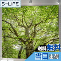 楽天市場】フェイクグリーン 大型（タペストリー｜壁紙・装飾フィルム 