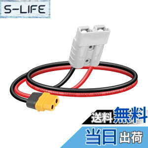�y���������zSinLoon �o�b�e���[�A�_�v�^�[�P�[�u�� 10AWG ADS�v���O�R�l�N�^�[~XT60 50AMP 600V XT60���X 30CM
