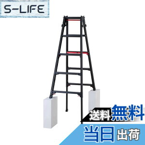 �y���������z���J��H��(Hasegawa) �͂������p�L�k�r��(�㕔����E�����^�b�`�o�[�t) �u���b�N�V���K�}�� �����O�X�g���[�N 5�i RYRLB-15 (1.01~1.746m) (10770)