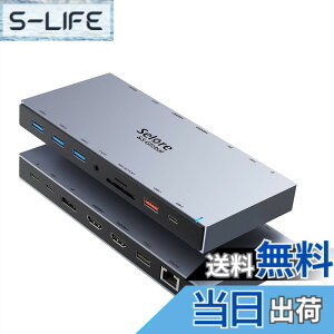 �y���������zSelore USB C �h�b�L���O�X�e�[�V���� type c HDMI 2�� Dock�y15 in 1�z DP DP1.4 4K 2��� 3��ʃ��[�h �f���A�� �g���v���f�B�X�v���C 100W �}���[�d �L��LAN RJ45/3.5mm �I�[�f�B�I�W���b�N/USB-A 3.