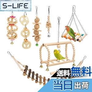 �y���������zTerraShine �o�[�h�g�C 8�_�Z�b�g �C���R �������� ���̂������� ���̗V�я� �I�E�������I ���ފߋ� �X�g���X���� �݂艺�� �u�����R �͂��� �~�܂�� �I�E�� �Z�L�Z�C�C���R �ؐ�