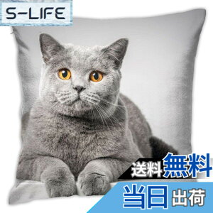�y���������zDADABULIU �L �N�b�V�����J�o�[ 45x45cm �������J�o�[ �D�F �u���e�B�b�V���V���[�g�w�A �y�b�g ���� �_�炩�� ���킢�� ������� �\�t�@�w���� ���� �G�� �ƒ�p �I�t�B�X �z�e���p 