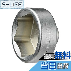 �y���������z(STRAIGHT/�X�g���[�g) �h�������I�C���t�B���^�[�J�b�v�����`36mm 12-6003 �F�F�V���o�[