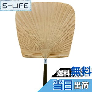 �y���������z�I�쏤�X �a�������� �`�a �F�{�`���H�| �E�l���� �T�C�Y�F250 x 370mm