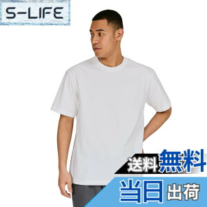 �y���������zHanes �r�[�t�B�[ T�V���c�r�[�t�B�[ T�V���c BEEFY-T 1���g ��100% �������n �w�r�[�E�F�C�gT H5180�����Y �F�F�z���C�g�A�T�C�Y�FL