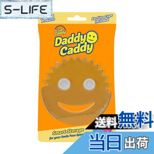 �y���������zScrub Daddy Daddy Daddy �L���f�B�X�|���W�z���_�[ �L�b�`���V���N�p �F�F�N���A�A�T�C�Y�F1 Count (Pack of 1)