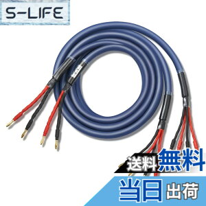 �y���������z�y�o�C���C���[�z WYVERN AUDIO �ɑ� �������x�� 12�c �o�i�i�v���O�t �����i HIFI �o�C���C�������O�ڑ� �o�C���C���[ �X�s�[�J�[�P�[�u�� 2�{1�g LR�Z�b�g �i�u���[�j �yWVA-04BW12�z 