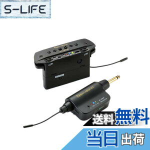 �y���������z�y���K�i�zSKYSONIC �X�J�C�\�j�b�N WL-800JP �A�R�[�X�e�B�b�N�M�^�[�p���C�����X�E�s�b�N�A�b�v