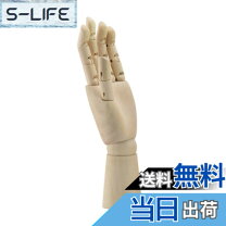 女性の手のマネキン ハンドモデル 模型 トルソー 撮影用 耐摩耗性 色耐性 変形抵抗 安定性 全6色 STKショップ - 通販 - Yahoo ショッピング