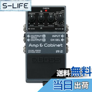 �y���������zBOSS/IR-2 Amp & Cabinet �A���v�V�~�����[�^�[ �L���r�l�b�gIR���[�_�[ �{�X IR2 �F�F�u���b�N///�z���C�g