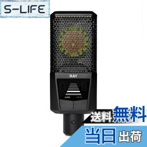�y���������zLEWITT LCT 440 �V���[�Y