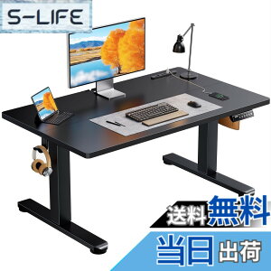 �y���������zErGear �d�� ���~���f�X�N ���[�^�C�v �F�F�u���b�N�A�T�C�Y�F100*60cm