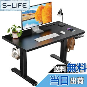 �y���������zErGear �d�� ���~���f�X�N ���[�^�C�v �F�F�u���b�N�A�T�C�Y�F90*50cm