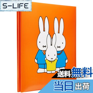 ���i�摜