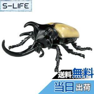 ���i�摜