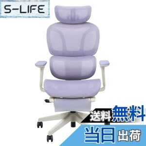 �y���������zFLEXISPOT �I�t�B�X�`�F�A �f�X�N�`�F�A C7 �l�ԍH�w �G���S�m�~�N�X�`�F�A ���b�V���`�F�A �Ɨ��^�����o�[�T�|�[�g ���N���C�j���O�\ �V���N�����b�L���O ���ʉ��s�����\ 2D