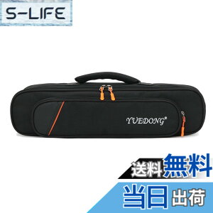 �y���������zMoonEmbassy �f�W�^���Ǌy��\�t�g�P�[�X,Roland AE-01 �G�A���t�H����p�o�b�O,�V�����_�[�X�g���b�v