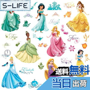 �y���������zRoomMates RMK2199SCS �f�B�Y�j�[ �v�����Z�X ���C���� �f�r���[ �������ē\��E�H�[���f�J�[�� �F�F���C�����f�r���[�A�T�C�Y�F10 inch x 18 inch