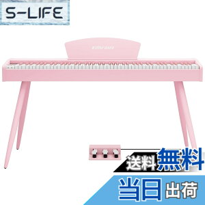 �y���������zKIMFBAY �d�q�s�A�m 88���� �n���}�[�A�N�V�������� �ؐ��X�^�C�� �d�q�s�A�m �t�����X��DREAM���� 3�{�y�_�� MIDI�[�q�Ή� ���S�� �}�X�^�[ ���K�p ���{������� �F�F�s���N