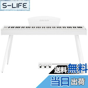 �y���������zKIMFBAY �d�q�s�A�m 88���� �n���}�[�A�N�V�������� �ؐ��X�^�C�� �d�q�s�A�m �t�����X��DREAM���� 3�{�y�_�� MIDI�[�q�Ή� ���S�� �}�X�^�[ ���K�p ���{������� �F�F�z���C�g