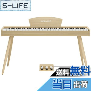 �y���������zKIMFBAY �d�q�s�A�m 88���� �n���}�[�A�N�V�������� �ؐ��X�^�C�� �d�q�s�A�m �t�����X��DREAM���� 3�{�y�_�� MIDI�[�q�Ή� ���S�� �}�X�^�[ ���K�p ���{������� �F�F�x�[�W��