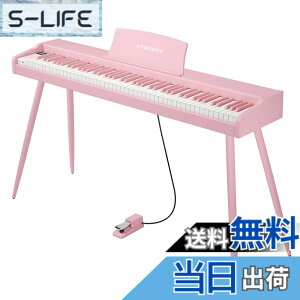 �y���������zKIMFBAY �d�q�s�A�m 88���� �ؐ� �d�q �s�A�m 88�� Digital Piano ���S�� �q�� MIDI�Ή� �y�_���t�� �X�^���h �A�_�v�^�[�t ���{������� �F�F�s���N
