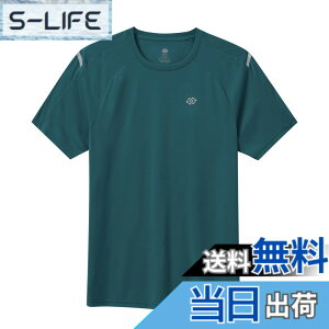 �y���������z[MoFiz] T�V���c �����Y ���� �傫���T�C�Y ���g���[�j���O�E�F�A �g���[�i�[ �ێ� UV�J�b�g �z������ �F�F�O���[���A�T�C�Y�F7L