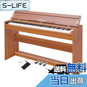 �y���������zKIMFBAY �d�q�s�A�m 88���� �s�A�m �ؐ� �{�� �d�q �s�A�m 88�� Digital Piano �A�b�v���C�g �s�A�m �y�_���t�� �t�@���N�V�����{�b�N�X �q�� ���S�� MIDI�Ή� �F�F�I�����W