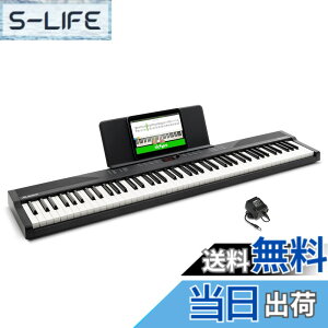�y���������zAlesis �d�q�s�A�m 88���� Recital Play & Recital Black �F�F�P�i�A�u���b�N�A�T�C�Y�F�P�i