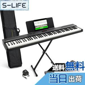 �y���������zAlesis �d�q�s�A�m 88���� Recital Play & Recital Black �F�F�A�N�Z�T���[�t���A�u���b�N�A�T�C�Y�F�A�N�Z�T���[�t��