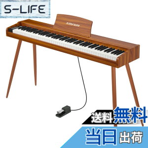 �y���������zKIMFBAY �d�q�s�A�m 88���� �ؐ� �d�q �s�A�m 88�� Digital Piano ���S�� �q�� MIDI�Ή� �y�_���t�� �X�^���h �A�_�v�^�[�t ���{������� �F�F�I�����W
