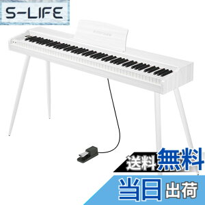 �y���������zKIMFBAY �d�q�s�A�m 88���� �ؐ� �d�q �s�A�m 88�� Digital Piano ���S�� �q�� MIDI�Ή� �y�_���t�� �X�^���h �A�_�v�^�[�t ���{������� �F�F�z���C�g