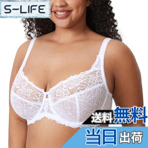 �y���������z[DELIMIRA] �u���W���[ �傫���T�C�Y �ԕ� ���[�X �O���}�[�o�X�g ���C���[���� �p�b�h�Ȃ� �Z�N�V�[ ���[�X�u�� ����������������u�� �F�F�z���C�g�A�T�C�Y�FJ80