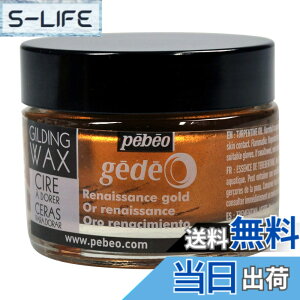 �y���������z�M���f�B���O���b�N�X SURFACE_PROTECTION_WAX �F�F���l�b�T���X�S�[���h