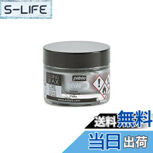 �y���������z�M���f�B���O���b�N�X SURFACE_PROTECTION_WAX �F�F�V���o�[