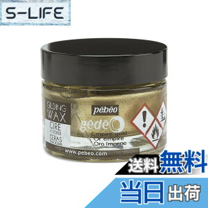 �y���������z�M���f�B���O���b�N�X SURFACE_PROTECTION_WAX �F�F�G���p�C�A�S�[���h