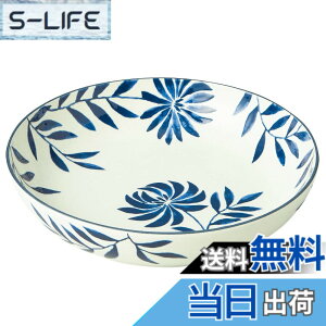 �y���������z�A�C�J �p�X�^�v���[�g DISHWARE_PLATE �F�F�{�^�j�J�����[�t�A�T�C�Y�F�p�X�^�v���[�g/20cm